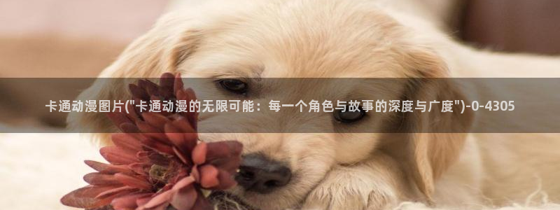 成年动漫