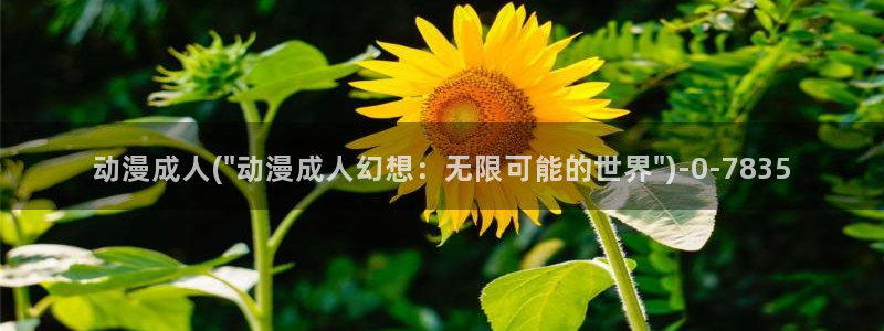 星辰动漫